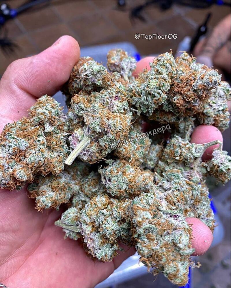 Señor Piña v.2, Фасовка: 3, изображение 2